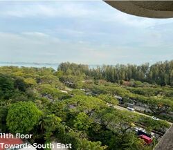 Meyer Road (D15), Condominium #568344411